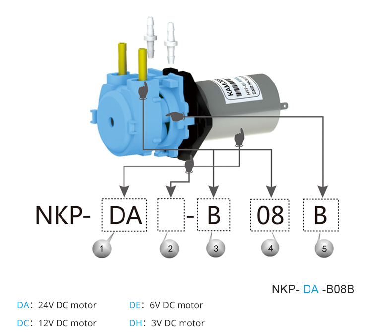 2026 new NKP 6V 12V 24V DC mot - Nutrition & Fitness Class avaliação e preço
