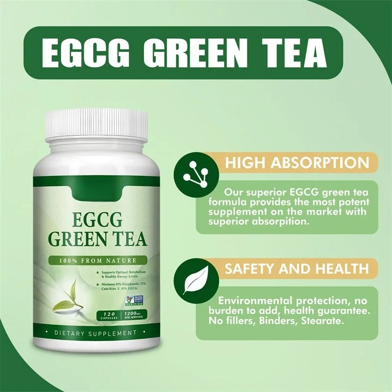 EGCG Green Tea Extract - Boost - Green Tea Extract Fat avaliação e preço
