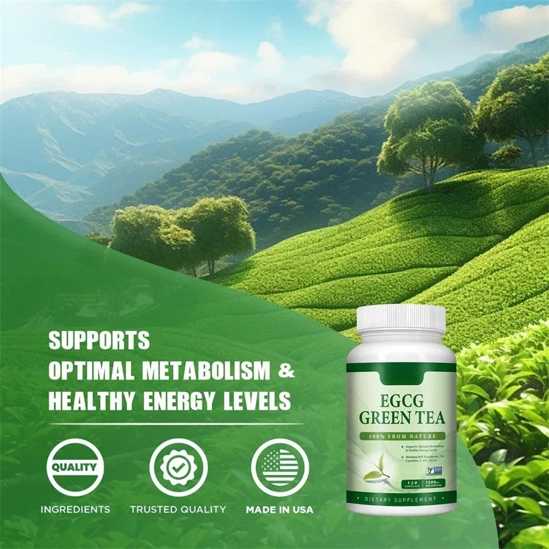 EGCG Green Tea Extract - Boost - Green Tea Extract Fat avaliação e preço