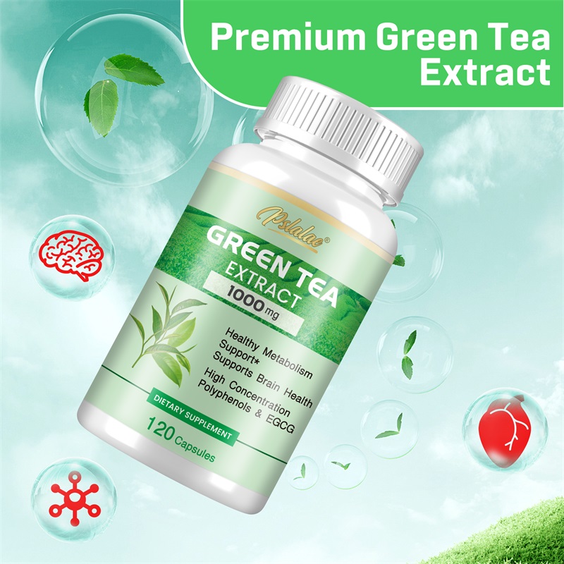 Green Tea Extract - with 98% P - Green Tea Extract Fat avaliação e preço