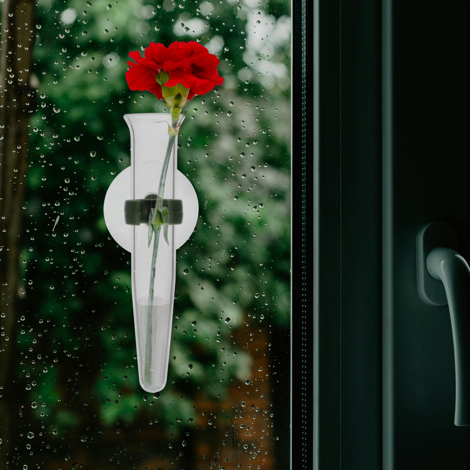 8Pcs Flower Hose Storage Silic - Nutrition & Fitness Class avaliação e preço
