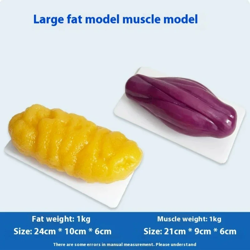 Human Muscle and Fat Replicas  - Nutrition For Health Fitness & Sport Melvin Williams avaliação e preço