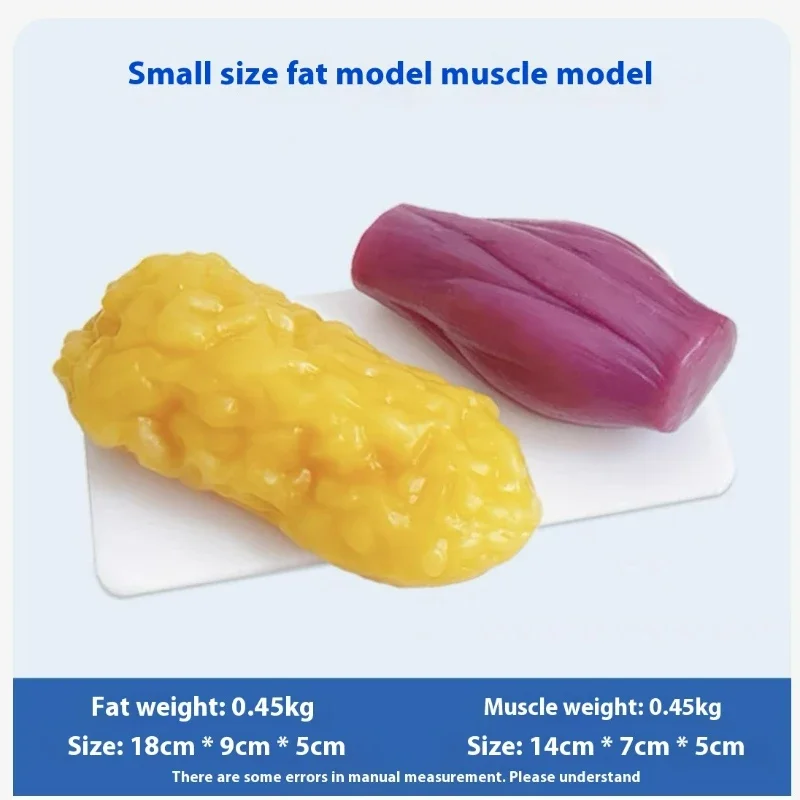Human Muscle and Fat Replicas  - Nutrition For Health Fitness & Sport Melvin Williams avaliação e preço