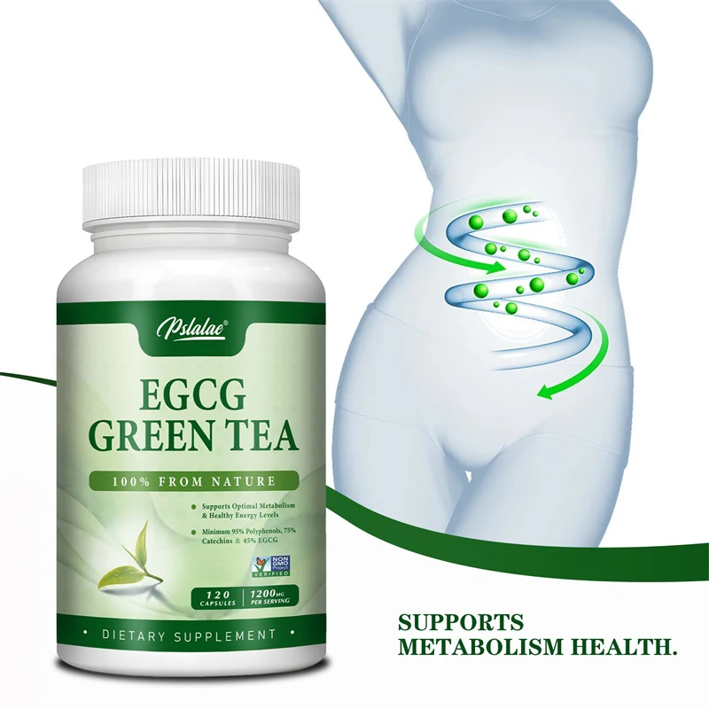 EGCG Green Tea Extract - Boost - Green Tea Extract Fat avaliação e preço